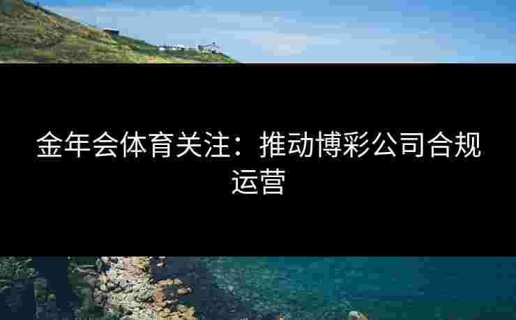 金年会体育关注：推动博彩公司合规运营