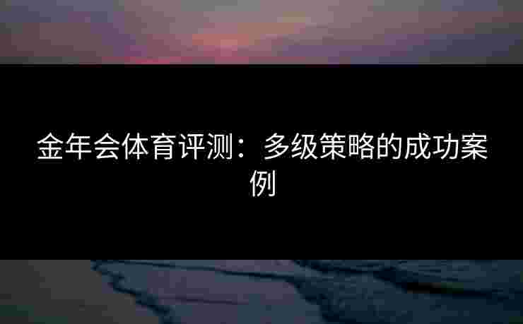 金年会体育评测：多级策略的成功案例